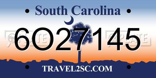 6O27145 South Carolina License Plate
