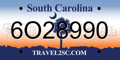 6O28990 South Carolina License Plate