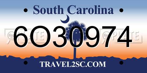 6O30974 South Carolina License Plate