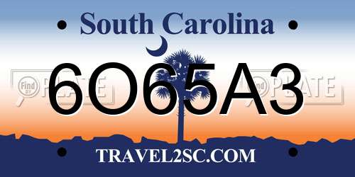6O65A3 South Carolina License Plate