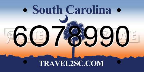 6O78990 South Carolina License Plate
