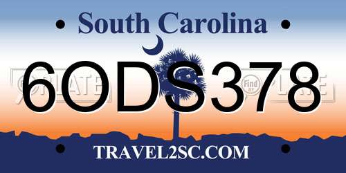 6ODS378 South Carolina License Plate