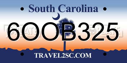 6OOB325 South Carolina License Plate