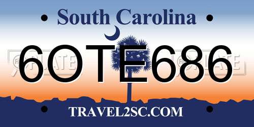 6OTE686 South Carolina License Plate