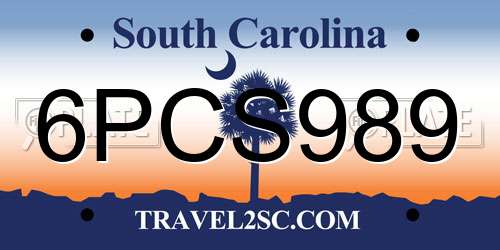6PCS989 South Carolina License Plate