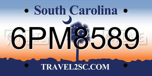 6PM8589 South Carolina License Plate