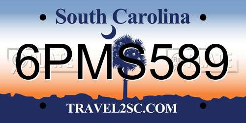 6PMS589 South Carolina License Plate