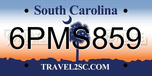 6PMS859 South Carolina License Plate