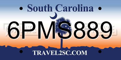 6PMS889 South Carolina License Plate
