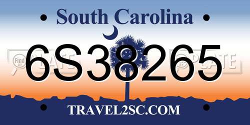 6S38265 South Carolina License Plate