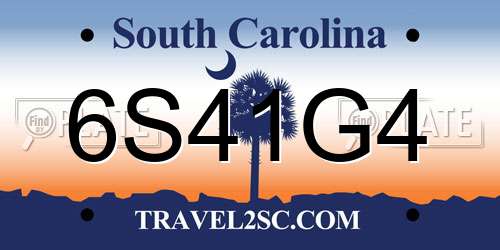 6S41G4 South Carolina License Plate