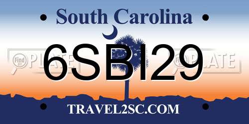 6SBI29 South Carolina License Plate