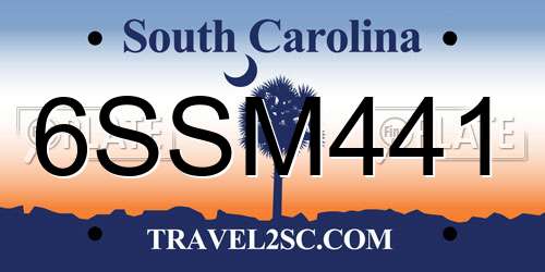 6SSM441 South Carolina License Plate