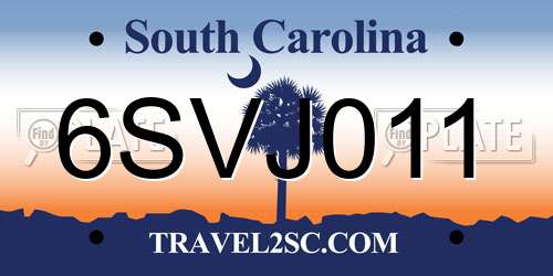 6SVJ011 South Carolina License Plate