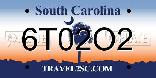 6T02O2 South Carolina License Plate