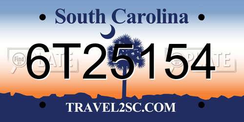 6T25154 South Carolina License Plate
