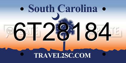 6T28184 South Carolina License Plate