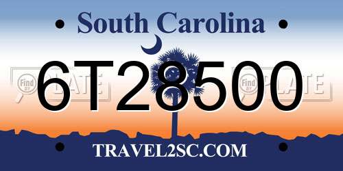 6T28500 South Carolina License Plate