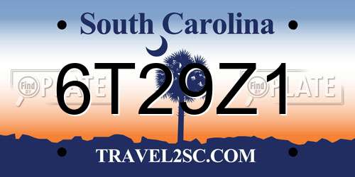 6T29Z1 South Carolina License Plate