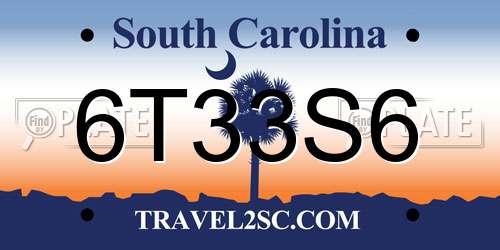 6T33S6 South Carolina License Plate