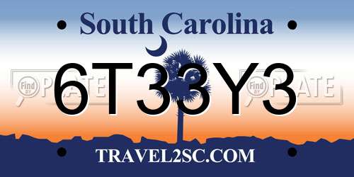6T33Y3 South Carolina License Plate