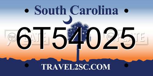 6T54025 South Carolina License Plate