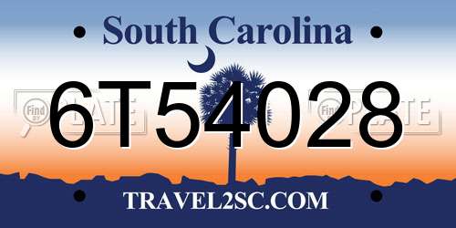 6T54028 South Carolina License Plate