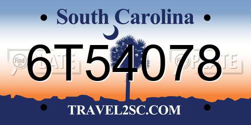 6T54078 South Carolina License Plate
