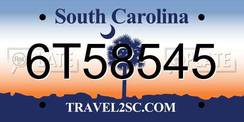 6T58545 South Carolina License Plate
