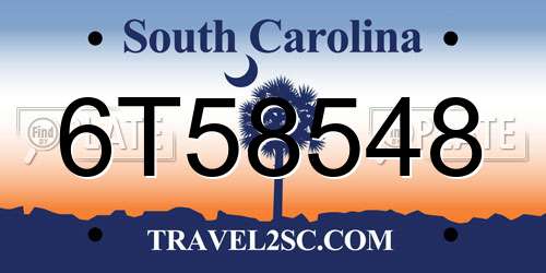 6T58548 South Carolina License Plate