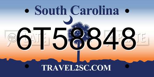 6T58848 South Carolina License Plate