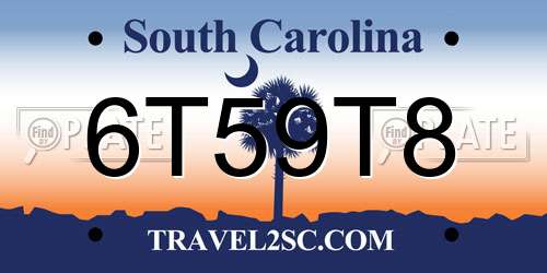 6T59T8 South Carolina License Plate