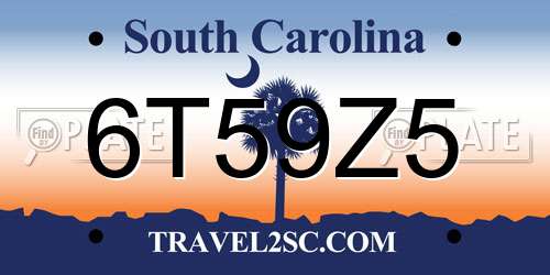 6T59Z5 South Carolina License Plate