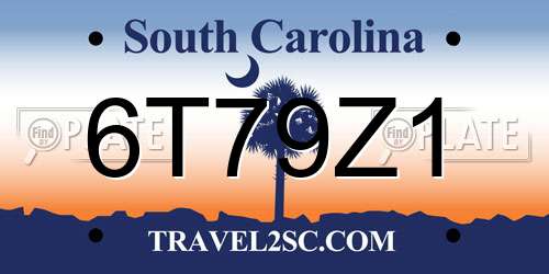 6T79Z1 South Carolina License Plate