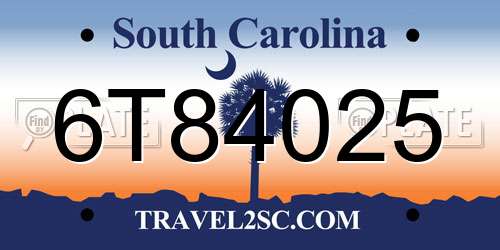 6T84025 South Carolina License Plate