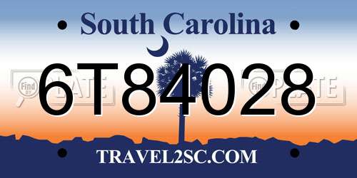 6T84028 South Carolina License Plate