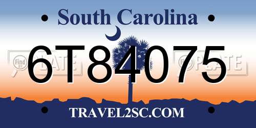 6T84075 South Carolina License Plate