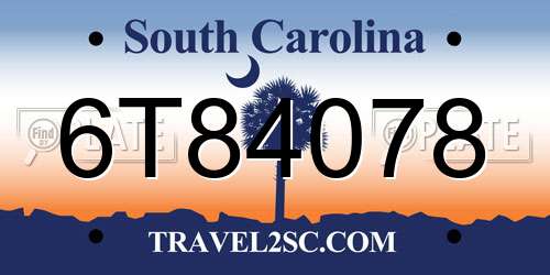 6T84078 South Carolina License Plate