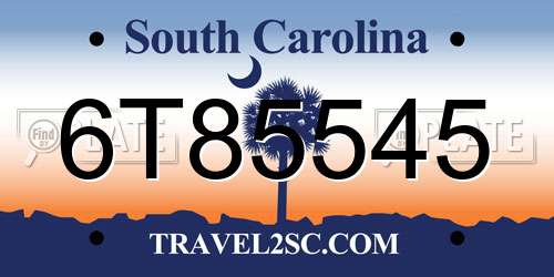 6T85545 South Carolina License Plate