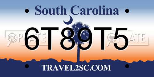 6T89T5 South Carolina License Plate