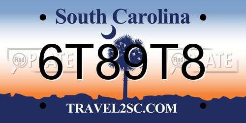 6T89T8 South Carolina License Plate