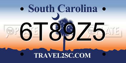 6T89Z5 South Carolina License Plate
