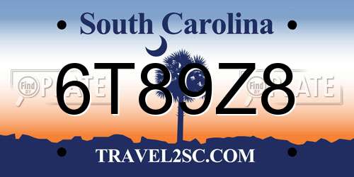 6T89Z8 South Carolina License Plate