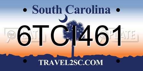 6TCI461 South Carolina License Plate