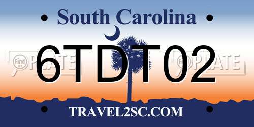 6TDT02 South Carolina License Plate