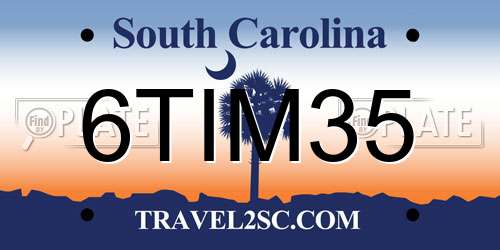 6TIM35 South Carolina License Plate