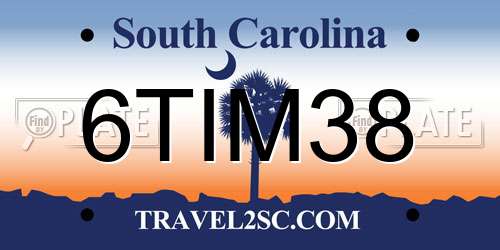 6TIM38 South Carolina License Plate