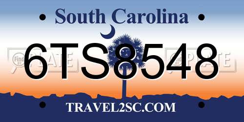 6TS8548 South Carolina License Plate