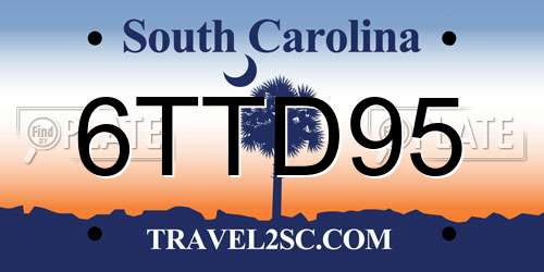 6TTD95 South Carolina License Plate