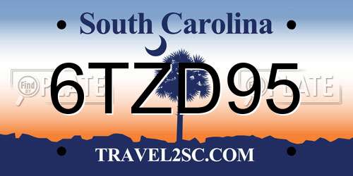6TZD95 South Carolina License Plate